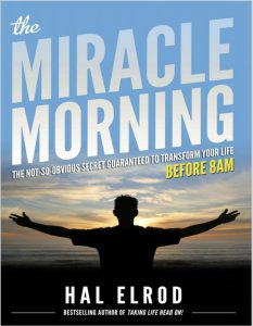The Miracle Morning The Not So Obvious Secret Guaranteed to Transform Your Life pdf