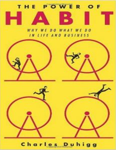 The Power of Habit Why We Do What We Do in Life and Business pdf