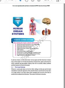 Science For Class 8 pdf free download
