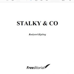 STALKY & CO pdf free download