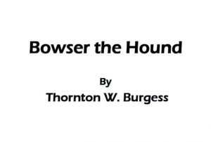 Bowser the Hound pdf free download