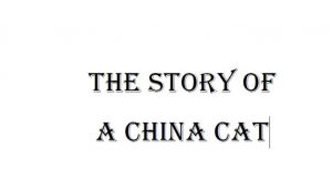 The Story of a China Cat pdf free download