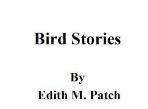 Bird Stories pdf free download