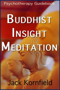 Buddhist Insight Meditation pdf free download