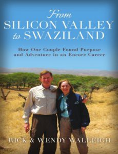 From Silicon Valley to Swaziland pdf free download