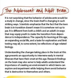 The Teen Brain pdf free download