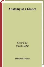 anatomy at a glance by omar faiz and david moffat pdf free download