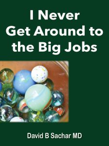 I NEVER GET AROUND TO THE BIG JOBS pdf free download