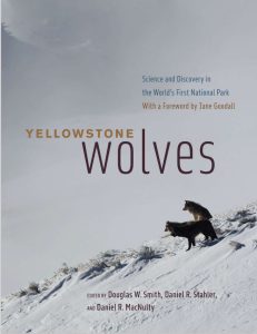 Yellowstone Wolves by Douglas W Smith pdf free download