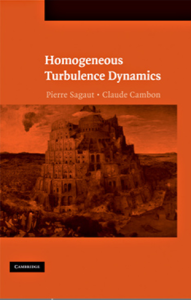 Homogeneous Turbulence Dynamics by Pierre Sagaut Claude Cambon pdf free download