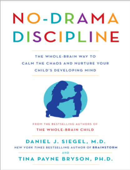 No Drama Discipline by Daniel and Tina pdf free download