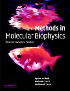 Methods in Molecular Biophysics by Igor N Serdyuk pdf free download