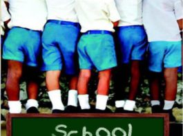 School Days by Ruskin Bond pdf free download