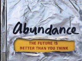 Abundance The Future Is Better Than You Think by Peter H and Steven Kotler pdf free download
