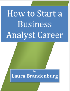 How to Start a Business Analyst Career by Laura Brandenburg pdf free download