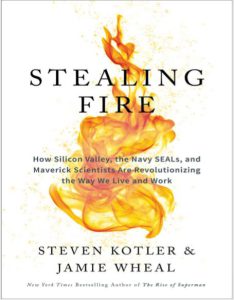 Stealing Fire by Steven Kotler and Jamie Wheal pdf free download