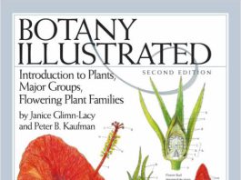 Botany Illustrated 2nd Edition by Janice Glimn and Peter pdf free download