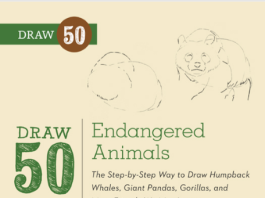 Draw 50 Endangered Animals by Lee J Ames pdf free download