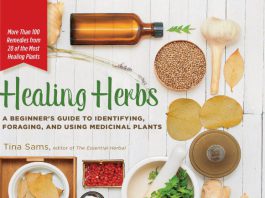 Healing Herbs by Tina Sams pdf free download
