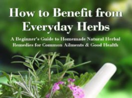 How to Benefit from Everyday Herbs by Patricia B and Dr Donna S pdf free download