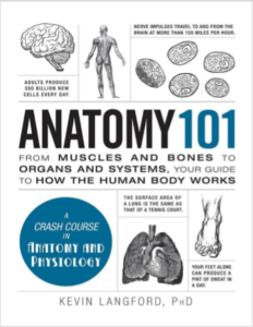 Anatomy 101 by Kevin Langford pdf free download