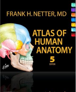 Atlas of Human Anatomy by Netter pdf free download