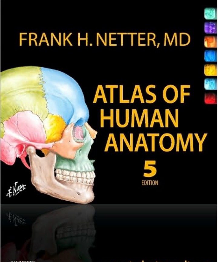 Atlas Of Human Anatomy By Netter Pdf Free Download Booksfree