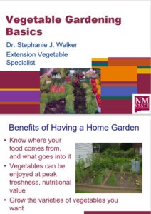 Vegetable Gardening Basics pdf free download