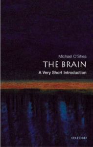 The Brain A Very Short Introduction Michael O Shea pdf free download