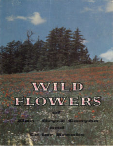 Wild Flowers by Carl Elmer and Leland Francis pdf free download