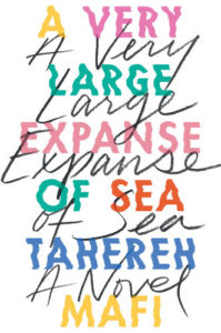 A Very Large Expanse of Sea pdf free download